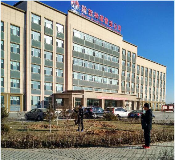 陕西绿宇园林公司开展冬季项目盘点工作