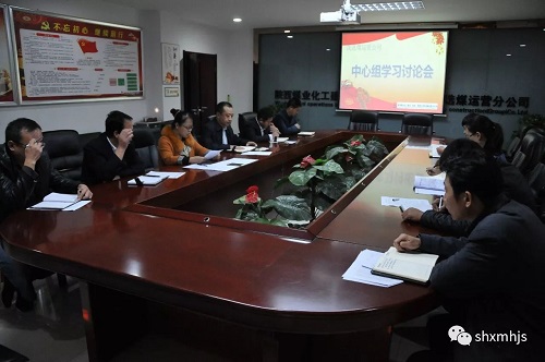 洗选煤运营公司党政领导班子“议发展”