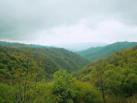 一个人的旅行----神道岭寄语