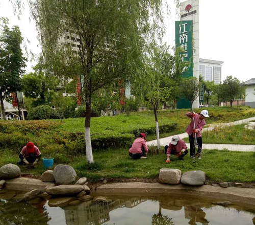 乐虎建设公司：江南世纪城“创卫”有实招