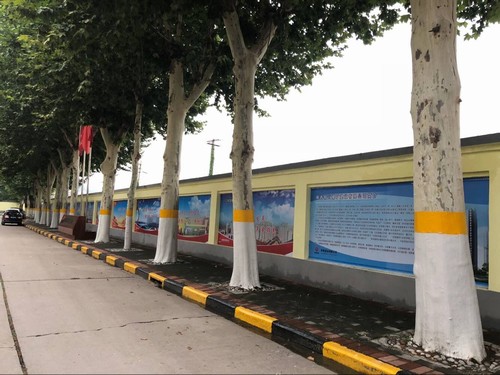 乐虎建设铜煤公司机关文化墙成为了一道靓丽的风景线