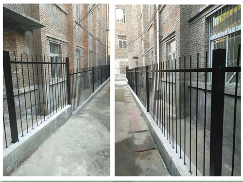 乐虎建设机电安装公司:办公楼后院旧貌换新颜