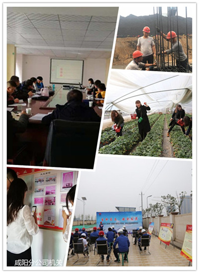 咸阳分公司多举措促青年成长