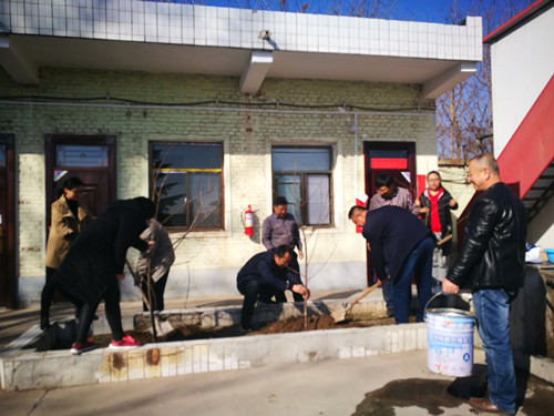 乐虎建设天工公司各项目部积极开展植树活动 绿化施工环境