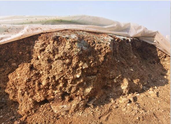 “废料”变“肥料”,蘑菇包在土壤改良中的应用