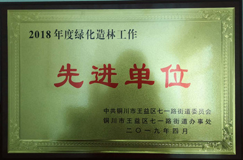 乐虎建设机电安装公司：喜获铜川市七一地区“绿化造林”先进单位