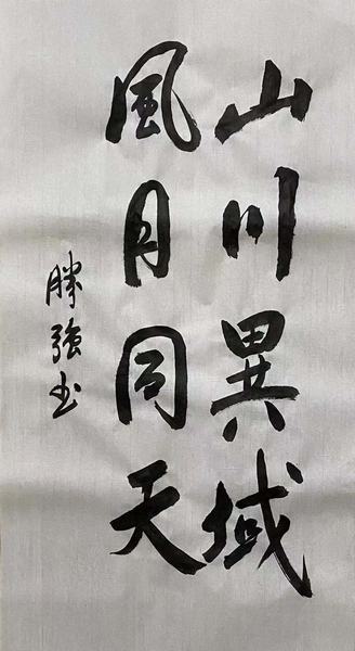 抗击新冠书法作品