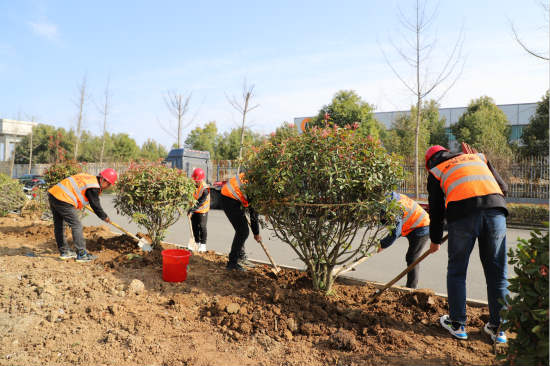 乐虎建设各公司开展义务植树活动