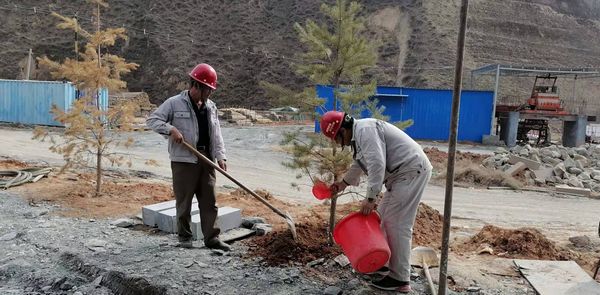 乐虎建设天工公司安装三部开展“绿色施工、美化家园”义务植树活动