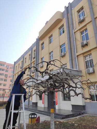 乐虎建设铜煤公司做好办公区域的绿化创和谐温馨企业环境