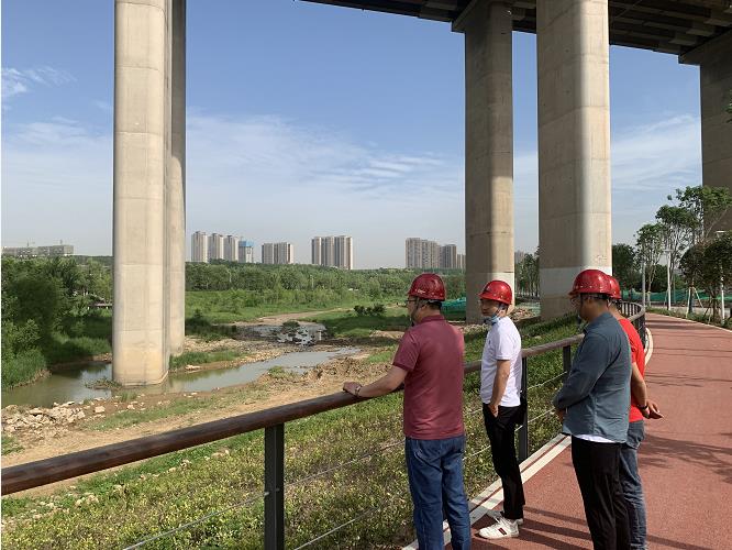 乐虎建设绿宇公司：提升项目综合管理水平 创公司高质量发展