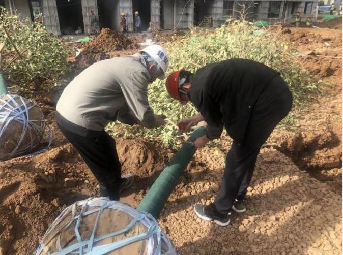 乐虎建设绿宇公司：蓝山水岸项目“大干快上” 施工热潮正当时