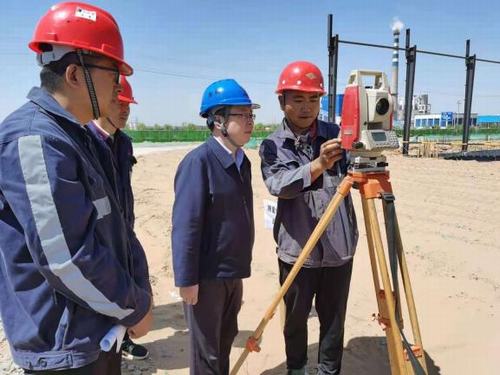 乐虎建设洗选煤运营公司佳县甜叶菊项目部：技术保质量 安全促发展