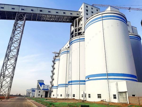 乐虎建设澄合分公司文明花开别样红