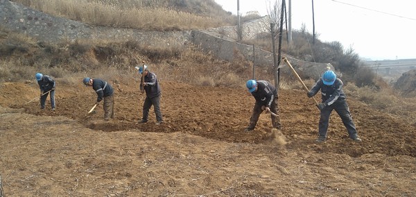 乐虎建设洗选煤运营公司左权洗煤厂项目部：春耕“小菜园”，播种幸福感