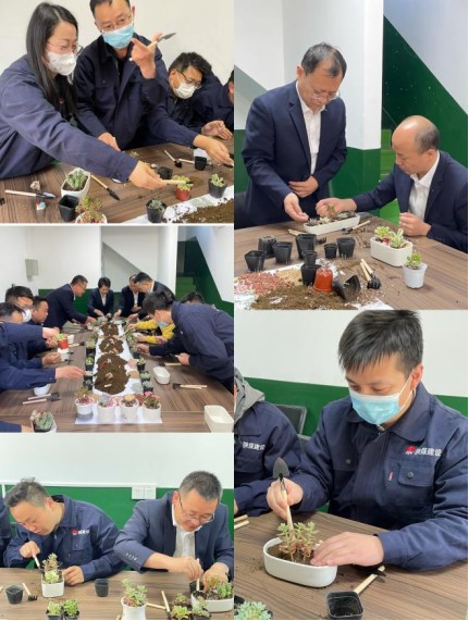 乐虎建设新城公司开展“青年绿种子，我的环保心”五四青年节主题活动