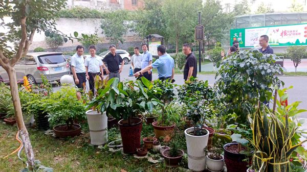 乐虎建设大秦置业公司：龙湾水境创文工作迎“大考”