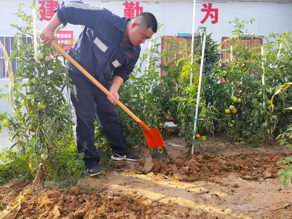 乐虎建设洗选煤运营公司第七项目部：开垦“试验田” 扎根大荒漠