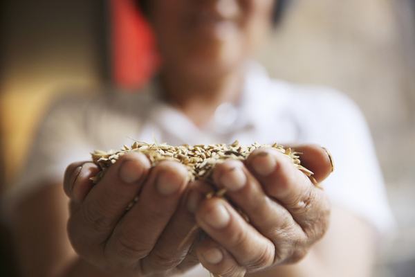 起点不同 幸福相同