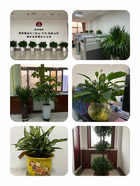 乐虎建设煤矿运营服务公司：职工之事无小事