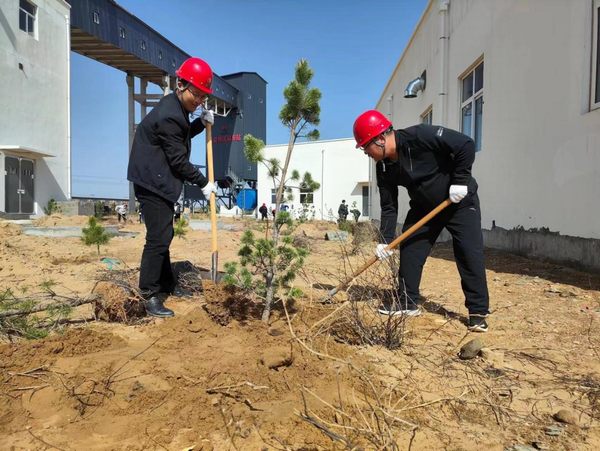 乐虎建设路桥分公司榆阳煤炭物流园区项目部春风化雨植树忙