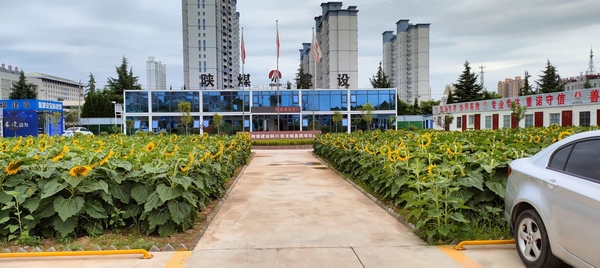 乐虎建设新龙城直属项目部 倾心打造“家文化 让项目部温暖如家