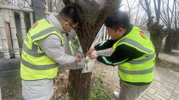 乐虎建设路桥分公司渭南项目部开展“绿色修复，生态共赢”别样植树节活动