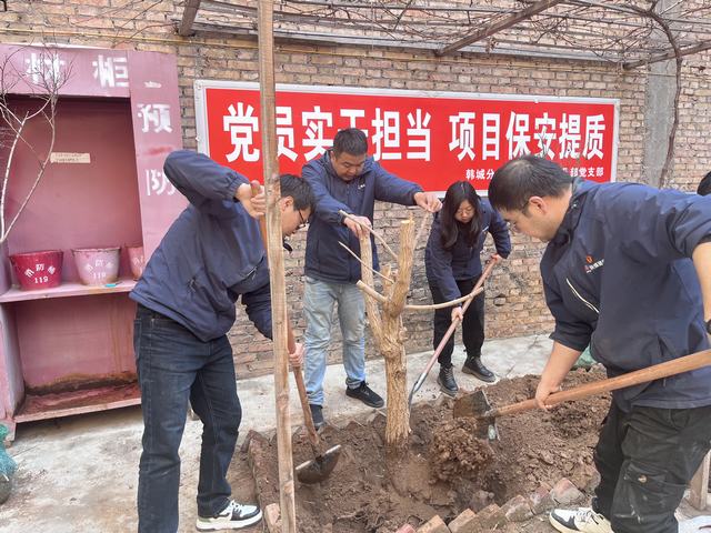 乐虎建设韩城分公司土建四项目部：植此青绿 不负春光