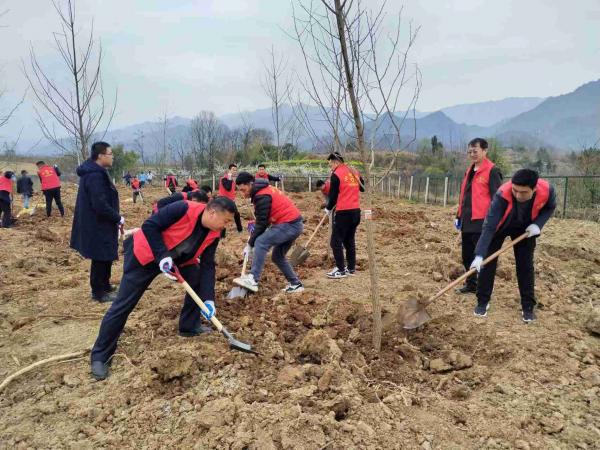乐虎建设驻村工作队参加春季义务植树活动
