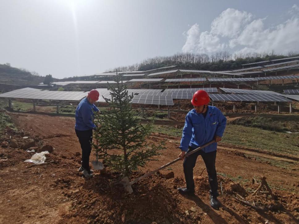 乐虎建设西北分公司机电安装项目部： 全员参与，共筑绿色屏障