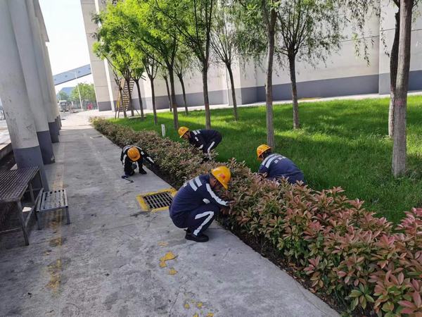 乐虎建设洗选煤运营公司神渭蒲城运营项目部：逐”绿”而行 向”绿”而兴！厂区绿化在行动