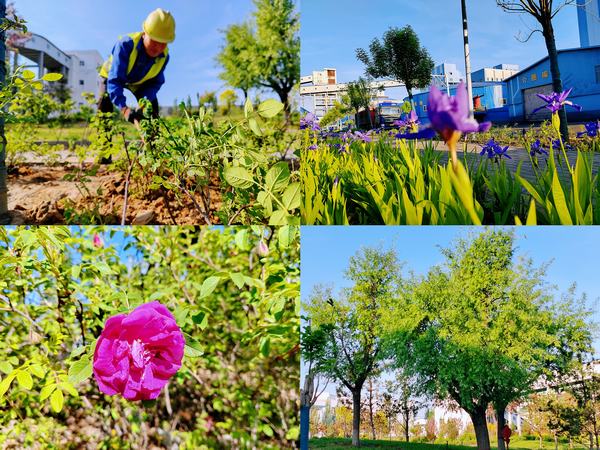 乐虎建设洗选煤运营公司红柳林洗煤厂项目部：强化绿色三大支柱  筑牢绿色生态屏障