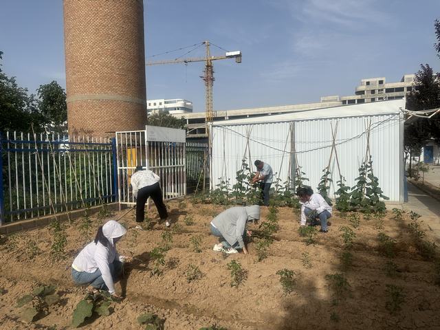 乐虎建设韩城分公司土建六项目部：打造美丽的“花园”角落