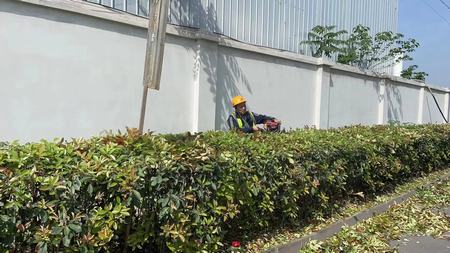 乐虎建设洗选煤运营公司神渭蒲城运营项目部：开展“清理环境卫生，我先行”主题活动