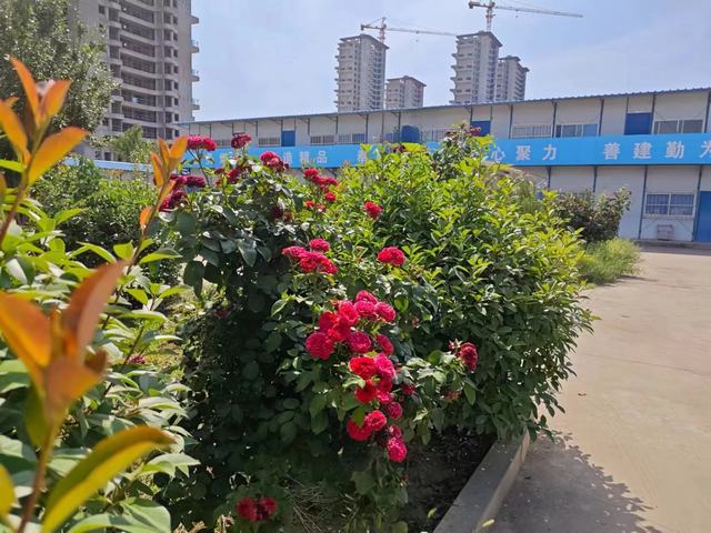 我观花时 我亦花