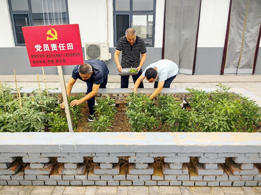 乐虎建设渭南分公司第十二项目部系列暖心举措“亮”了