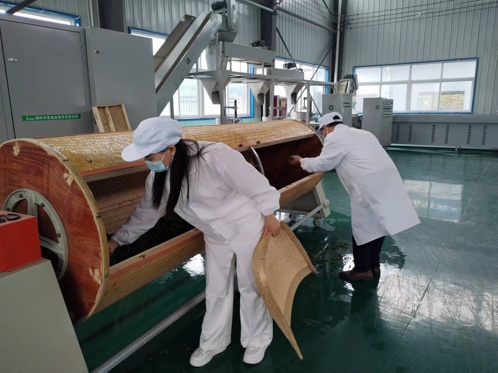 乐虎建设定点帮扶村：“天池大碗茶”促进产业发展正循环