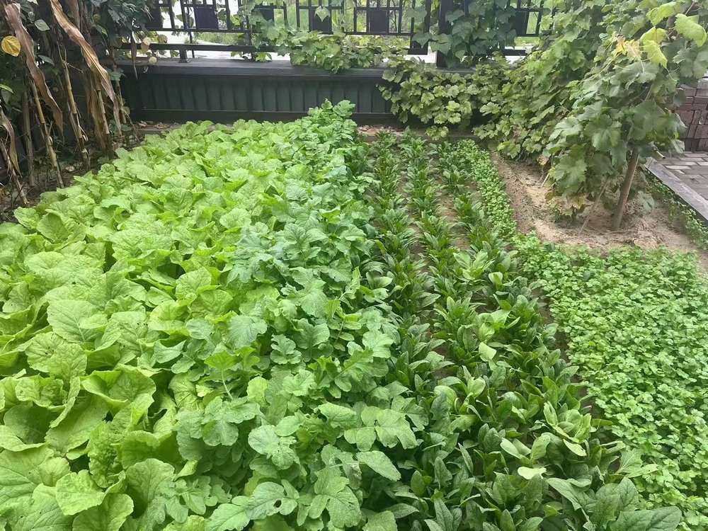 工地之上，家的温度悄然绽放