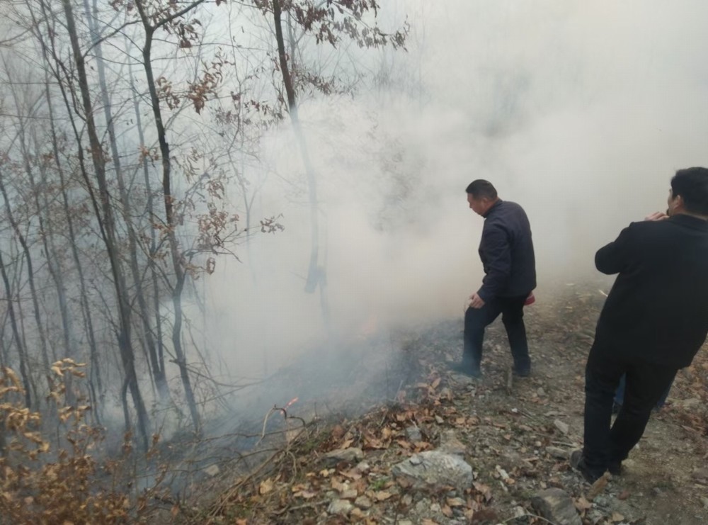 乐虎建设驻村工作队：勇扑山火保平安 践行担当群众赞