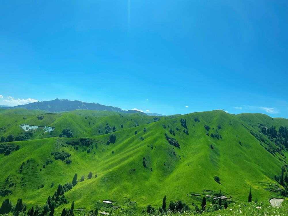 伊宁夏韵：工地之外的诗与远方