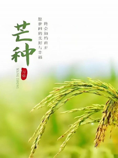 “忙”有所得  “终”有所获